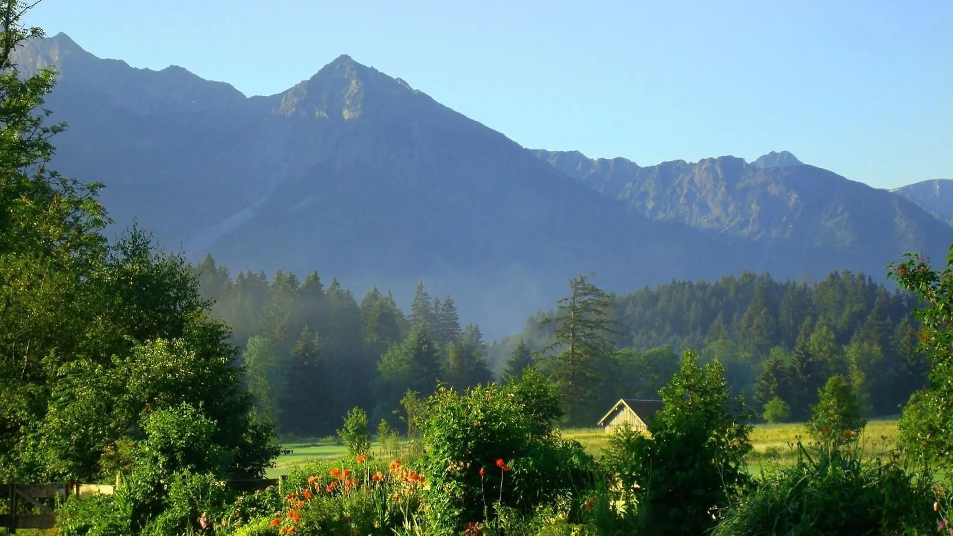 شقة Sigiswangerhorn أوفتيرشفانغ ألمانيا